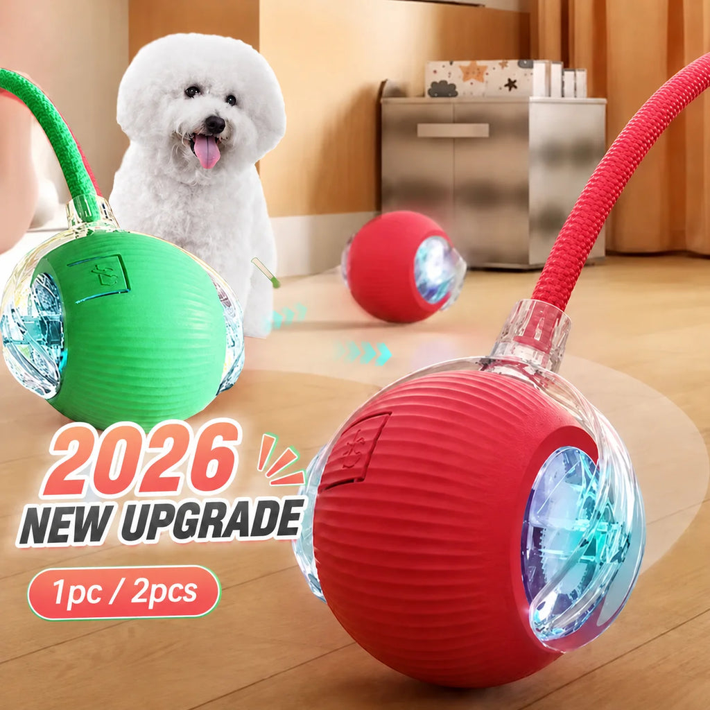 Pelota interactiva rodante para perros