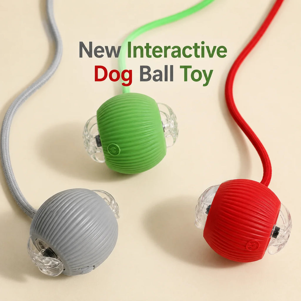 Pelota interactiva rodante para perros